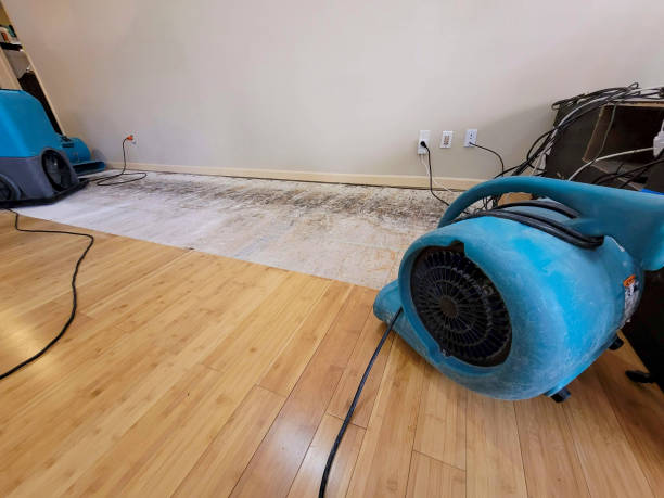 Professional Water Removal technician working in Luebbering, MO